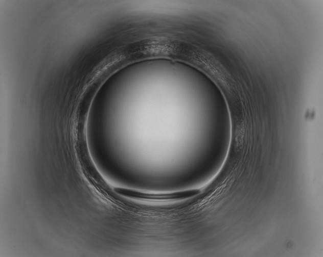 X0000096150722200801181202