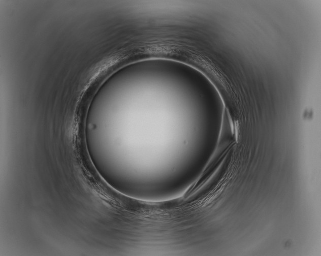X0000096150723200801181202