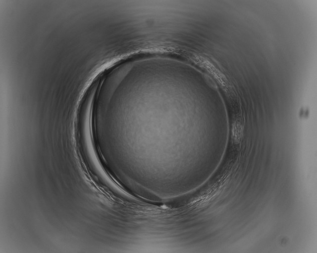 X0000096150724200801181202