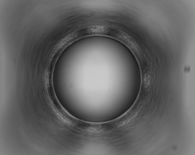 X0000096150725200801181202