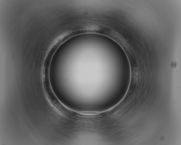 X0000096150726200801181202