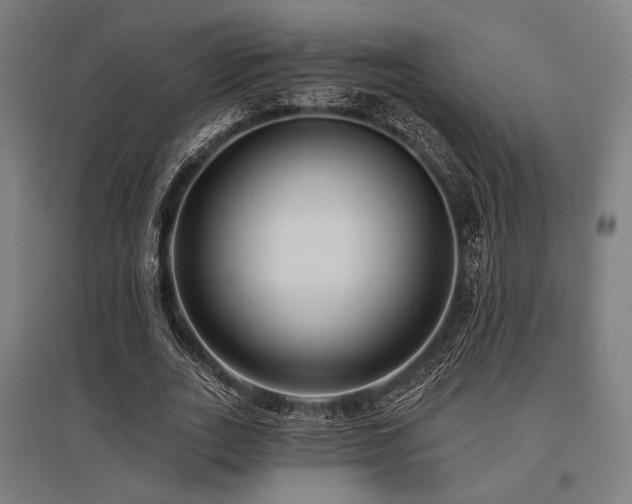 X0000096150727200801181202