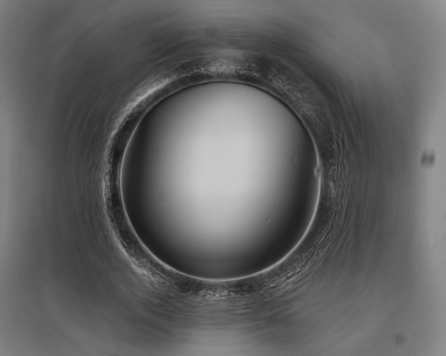 X0000096150728200801181202