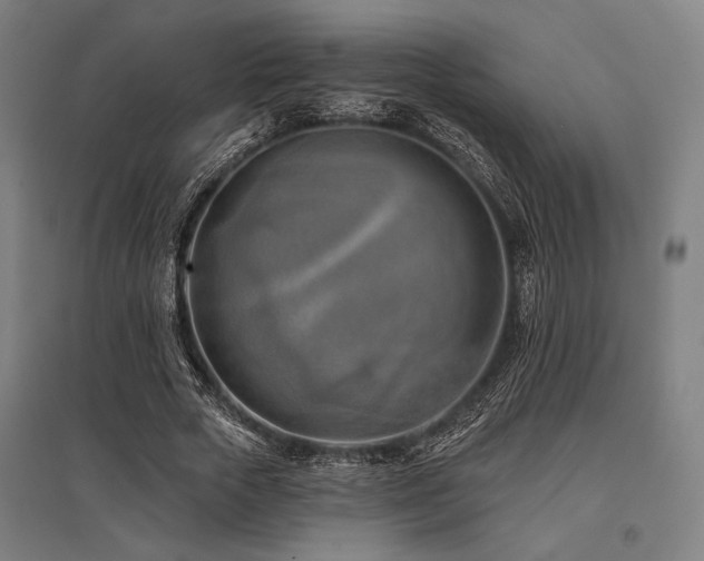 X0000096150729200801181202