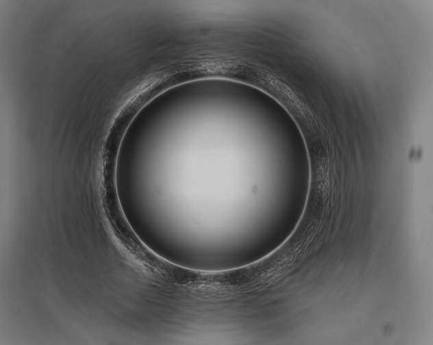 X0000096150730200801181202