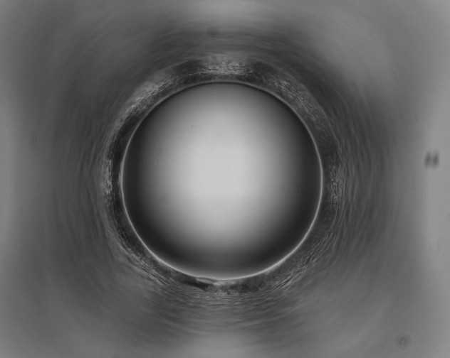 X0000096150731200801181202