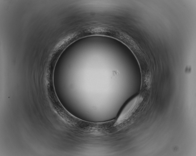 X0000096150732200801181202