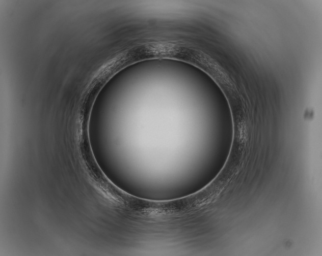 X0000096150733200801181202