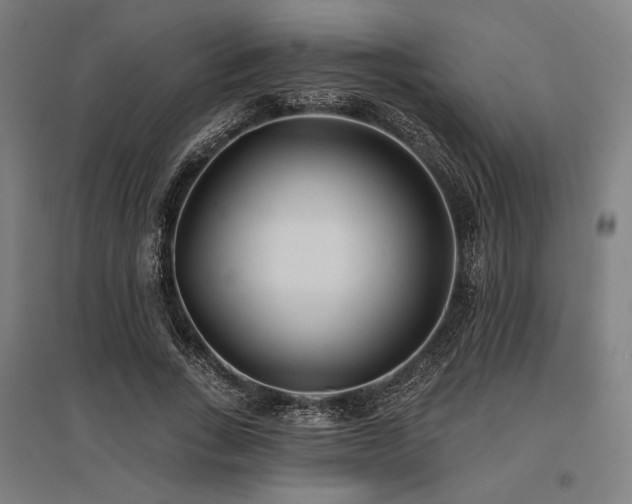 X0000096150735200801181202