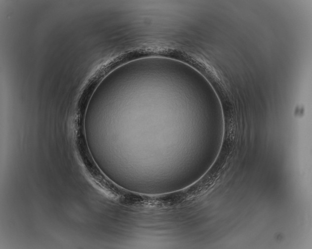 X0000096150736200801181202