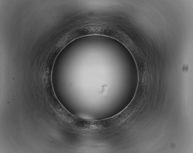 X0000096150737200801181202
