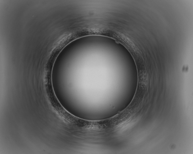 X0000096150738200801181202