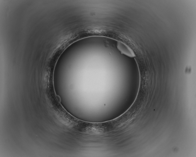 X0000096150739200801181202