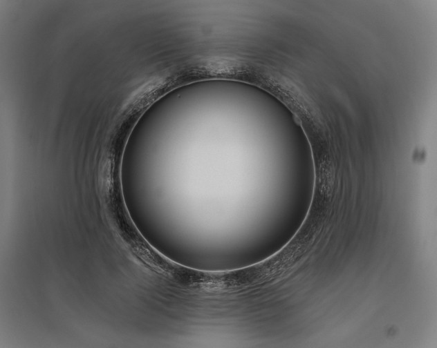 X0000096150740200801181202