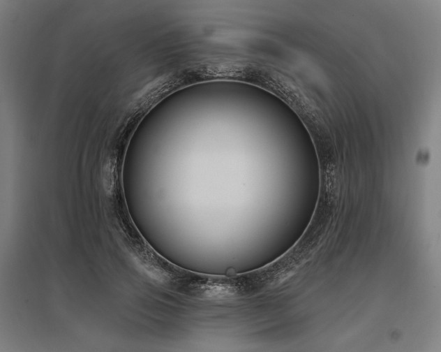 X0000096150741200801181202
