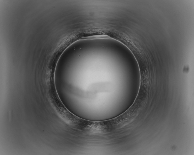 X0000096150742200801181202