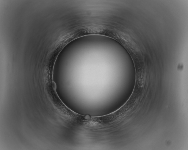 X0000096150743200801181202
