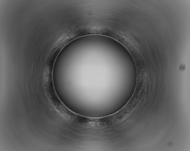 X0000096150744200801181202