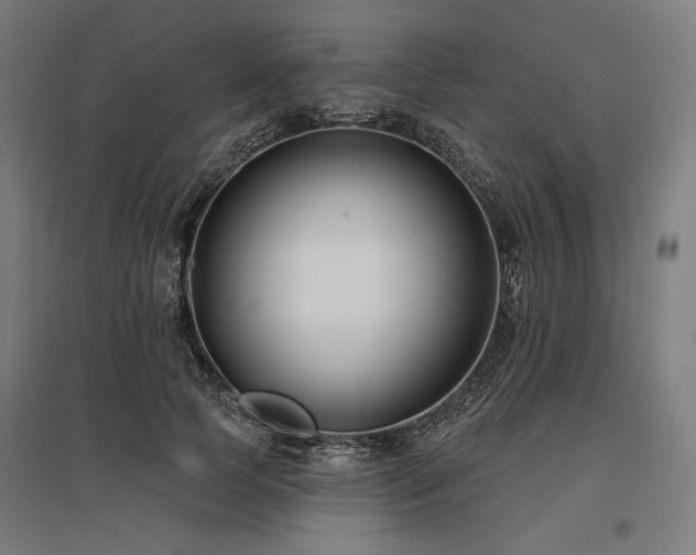 X0000096150745200801181202
