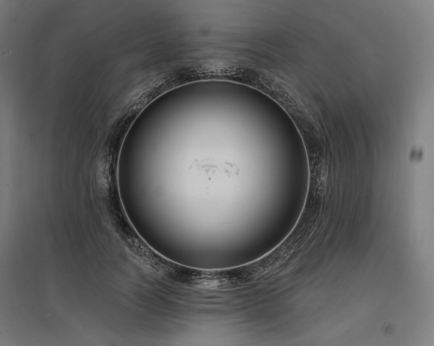 X0000096150746200801181202