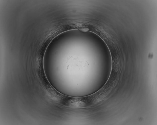 X0000096150747200801181202