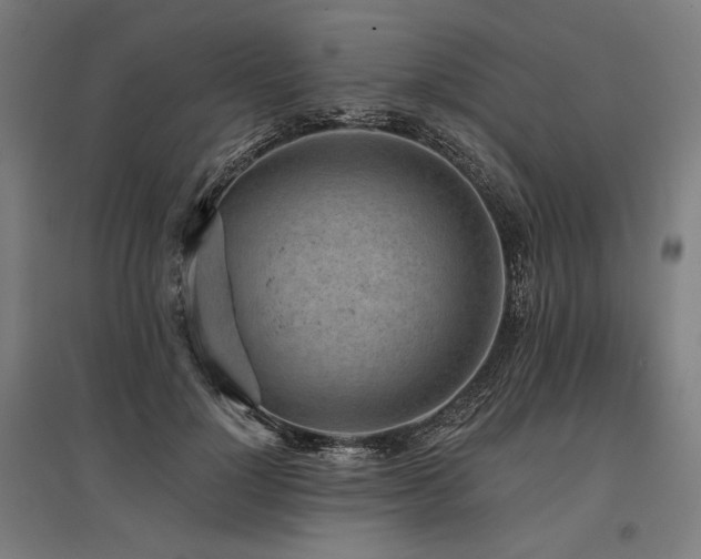 X0000096150748200801181202