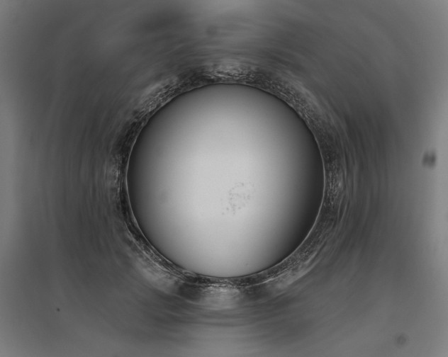 X0000096150749200801181202