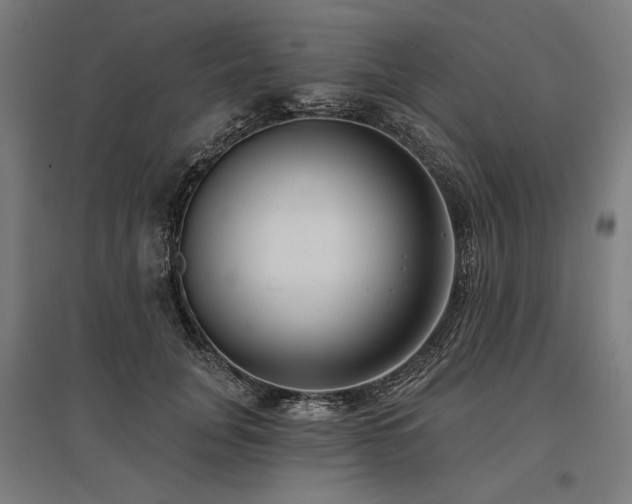 X0000096150751200801181202