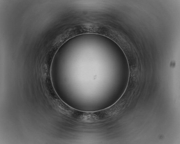 X0000096150752200801181202