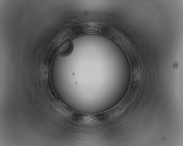 X0000096150753200801181202