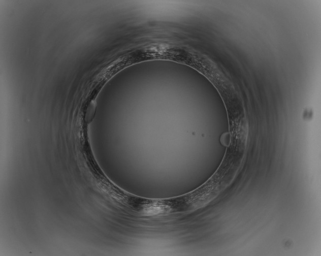 X0000096150754200801181202