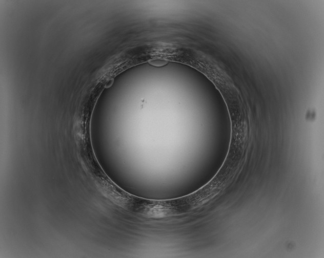 X0000096150755200801181202