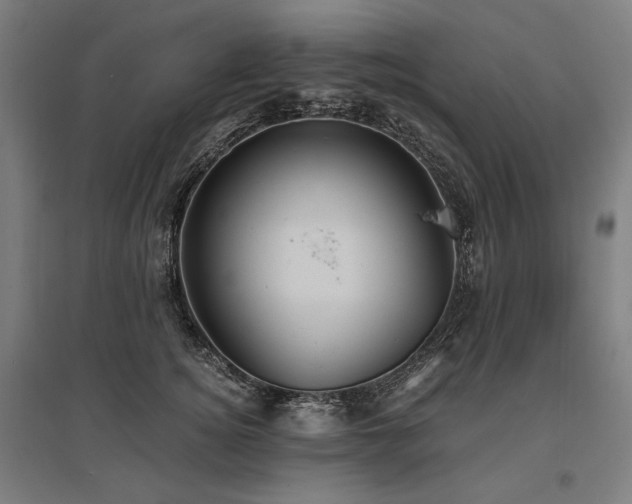 X0000096150756200801181202