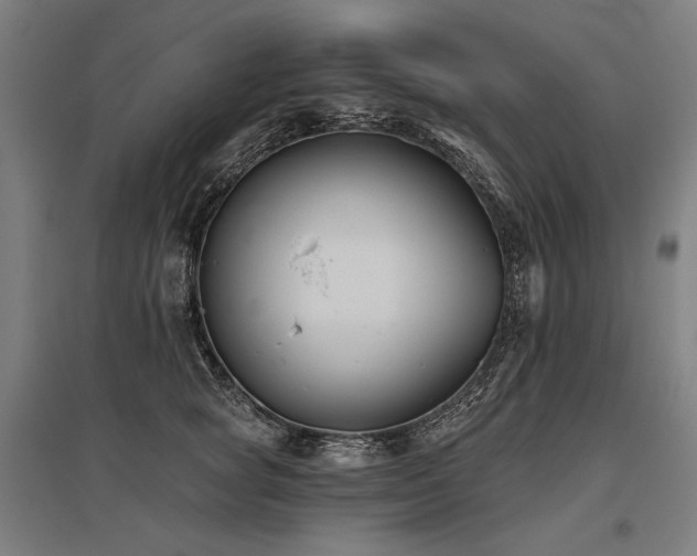 X0000096150757200801181202