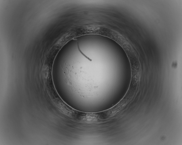 X0000096150758200801181202