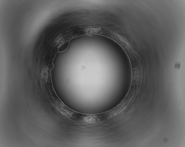 X0000096150761200801181202