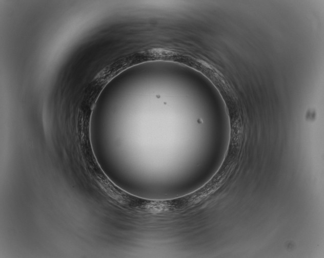 X0000096150762200801181202