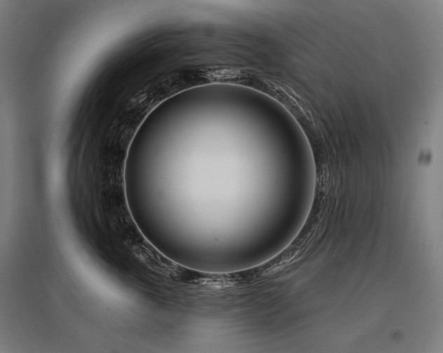 X0000096150763200801181202