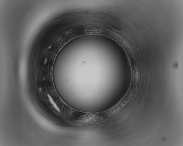 X0000096150764200801181202