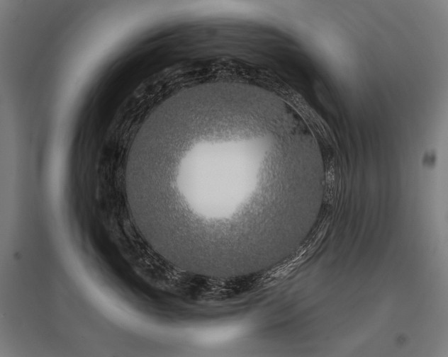 X0000096150765200801181202