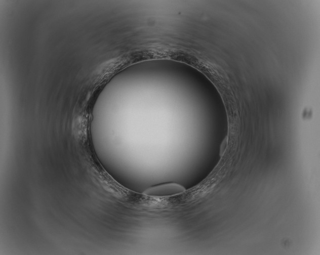 X0000096150768200801181202