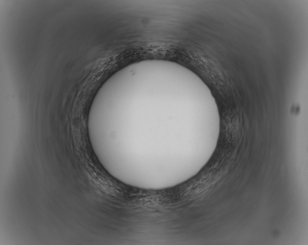 X0000096150769200801181202