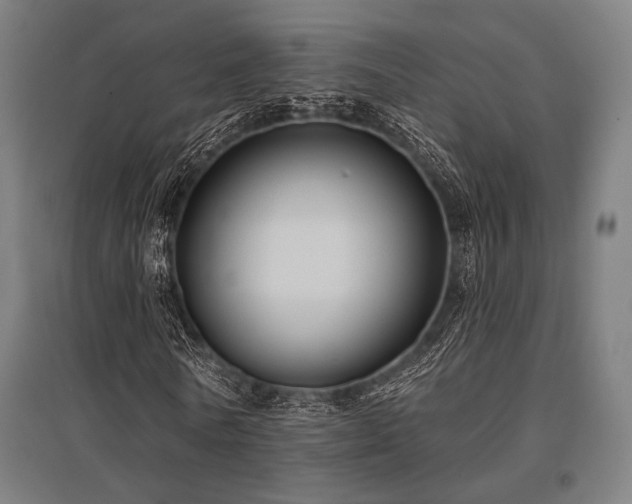 X0000096150770200801181202