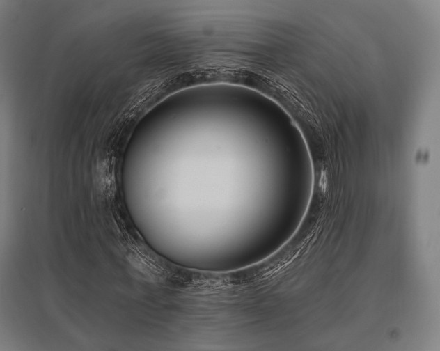 X0000096150771200801181202