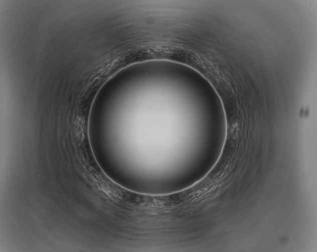 X0000096150772200801181202