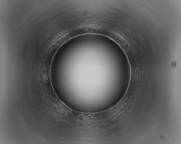 X0000096150774200801181202