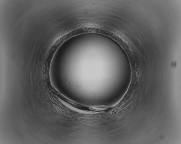 X0000096150775200801181201