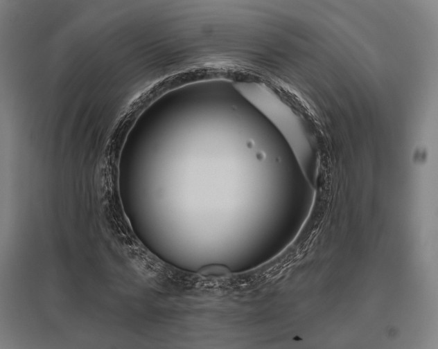 X0000096150776200801181201