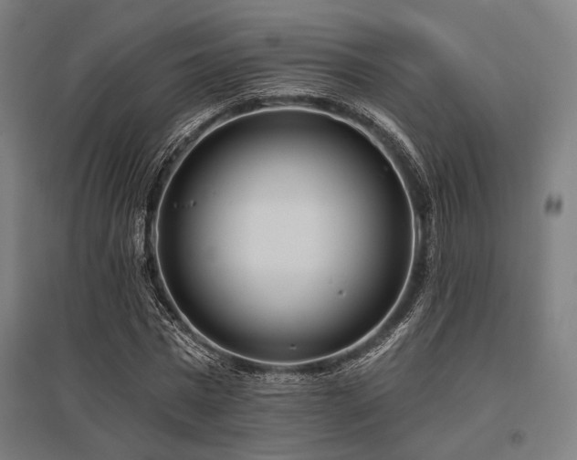 X0000096150777200801181201