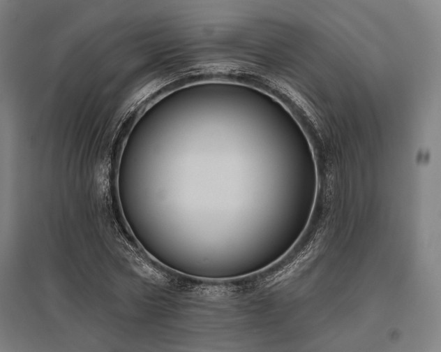 X0000096150778200801181201